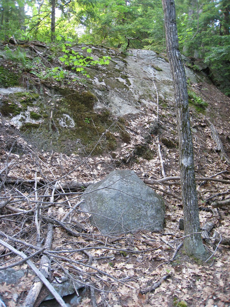 Elwell Trail NH 2010 165.jpg - The Elwell Trail North of Bristol NH, runs along Newfound Lake. The trail goes to Little and Big Sugarloaf mountains. Supposedly it also connects to Mt Cardigan. May 2010.